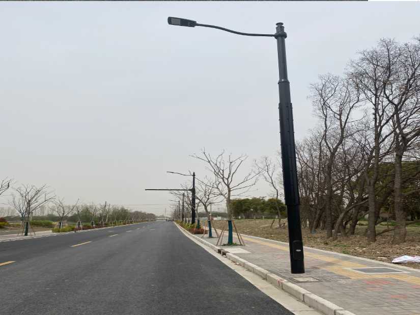 大丰区上海综合杆 太阳能路灯工程